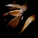 Petite série de cuillères :)