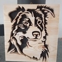 Un p'tit chien en palette