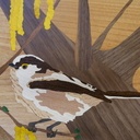 Marqueterie mésange longue queue