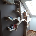 Bibliothèque arbre