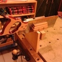 Guide queues d'arondes