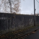 Récupérateur de bonsaï