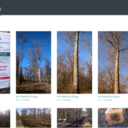 Ces nobles messieux qui nous regardent de haut