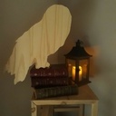 Hedwige chantournage