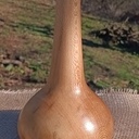 Soliflore en platane