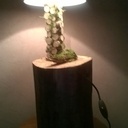 Lampe nature