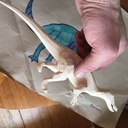 Dinosaure en frênes en cours de réalisation
