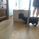 Maison pour chats errants