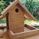 Nichoir, j'attends mes anges...