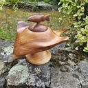 Une raie et son poisson pilote en boite