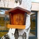 Complexe hôtelier pour zozios, un nichoir et une mangeoire