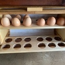 Huche à oeufs