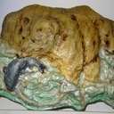 Ours blanc à la peche