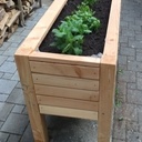 Bac à plantes - légumes