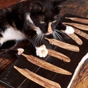 Plumes, elles coulent ...