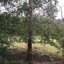 Tout vient à point à qui sait attendre