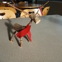 L'attelage d'un certain M. Noël.