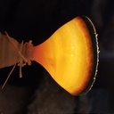 Une jolie fleure dans une peau d'Vache