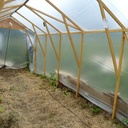 Serre à tomates 2mx5m
