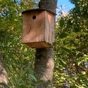 Nichoirs et mangeoire