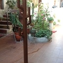 Un porte manteaux cactus