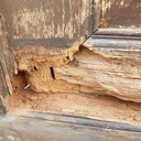 Restauration portail deuxième partie et fin.