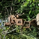 Réve de cabane de sorcière