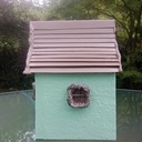 Nichoir à mésanges Ciment et bois