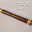 Un amour de Stylo...