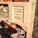 La maison aux insectes