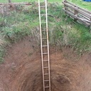 Echelle cyprès et chêne