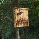 Nichoir chauve souris