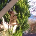 Mangeoire champignon