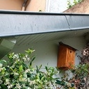 Un couple de nichoirs à mésange