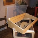 Serre de germination