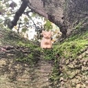 Deux petits félins en bois !