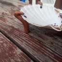 J'ai kraken sur un porte-savon