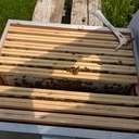 Ruche dadant 10 cadres