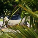 Pierre et deck auboutdelaravine.com