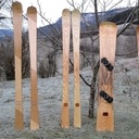 Il ne manque plus que la neige