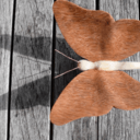 Fabriquer un papillon en bois