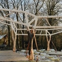 Charpente et arbres tordus ?