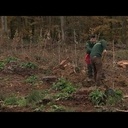 Pour les futures génération de boiseux