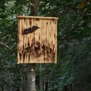 Nichoir chauve souris