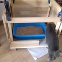 Boite à litière pour chat