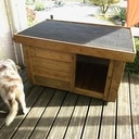 Niche de chien contemporaine