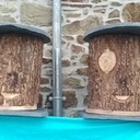 Ruche tronc suite et fin