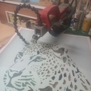 Cadre jaguar illuminé