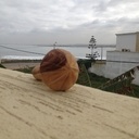 Presse orange manuel en bois