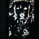 Light Box Golden Retriever